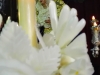2016 Besamanos Virgen Alvaro Frias (10)