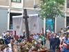 Cruz de Mayo Grupo Joven 28 mayo 2016 Fco. Oñoro (29)