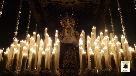 Luz del Camino