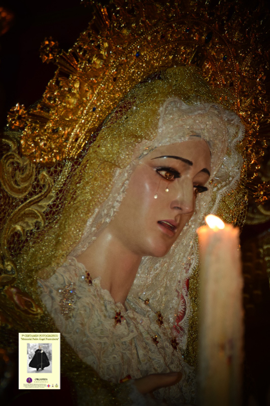 Tu mirada nuestro sentimiento