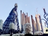 Estrella que bajo la luna iluminas a un barrio
