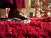 08 -Estos son tus pies