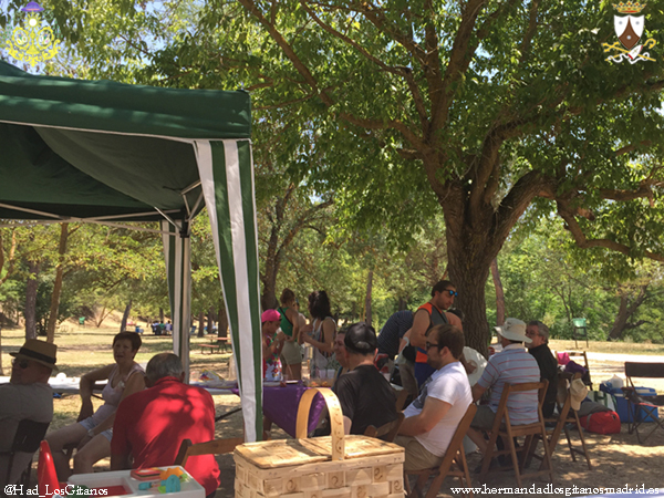 diadecampo2015 (6)
