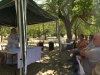 diadecampo2015 (4)