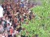 Miércoles Santo 2014 (3)