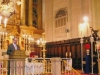 pregn20113