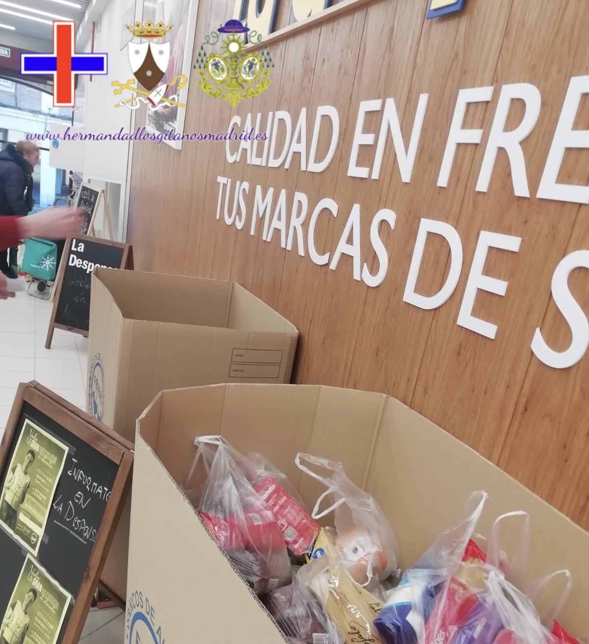 recogida de alimentos  (15)