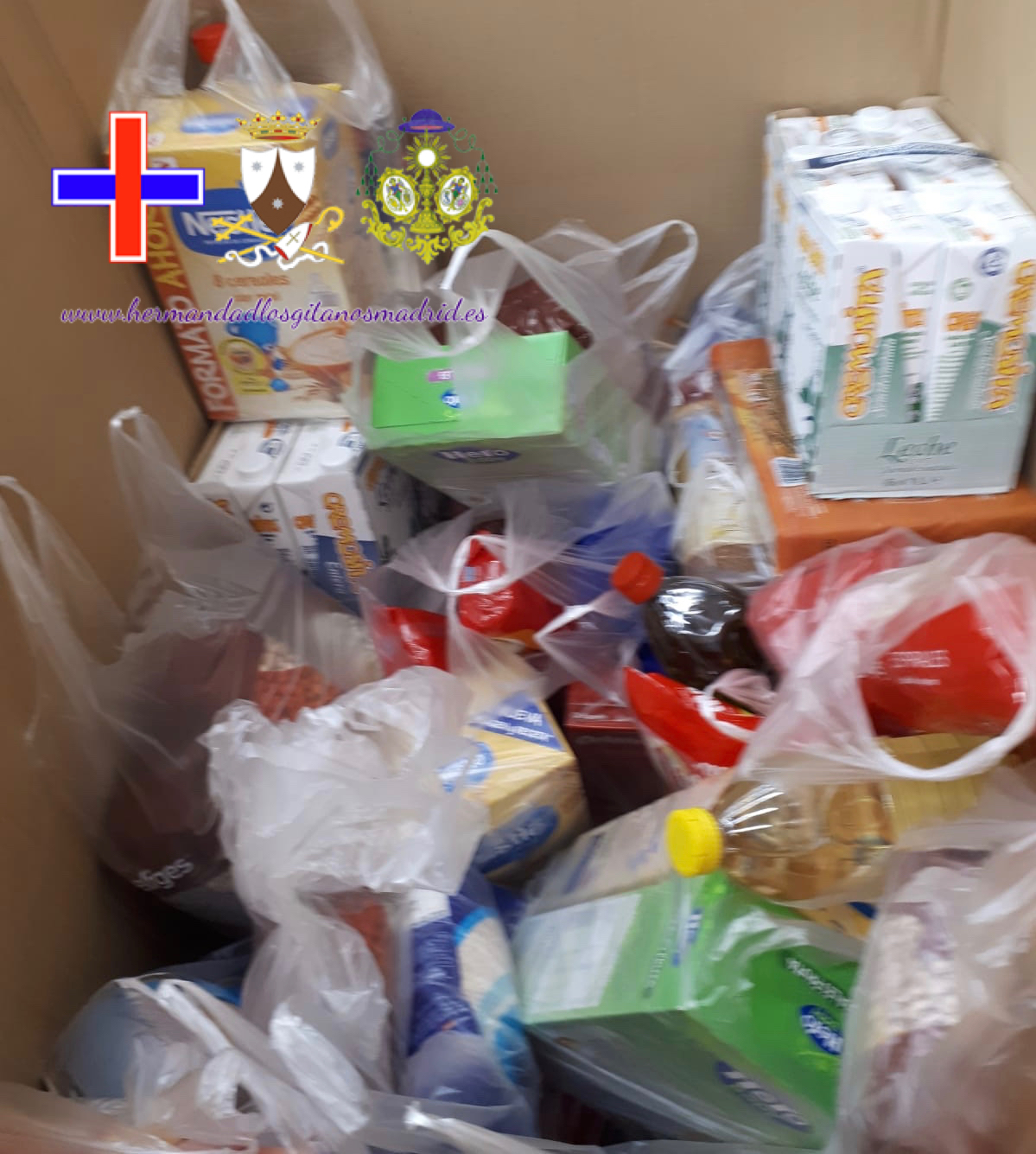 recogida de alimentos  (3)
