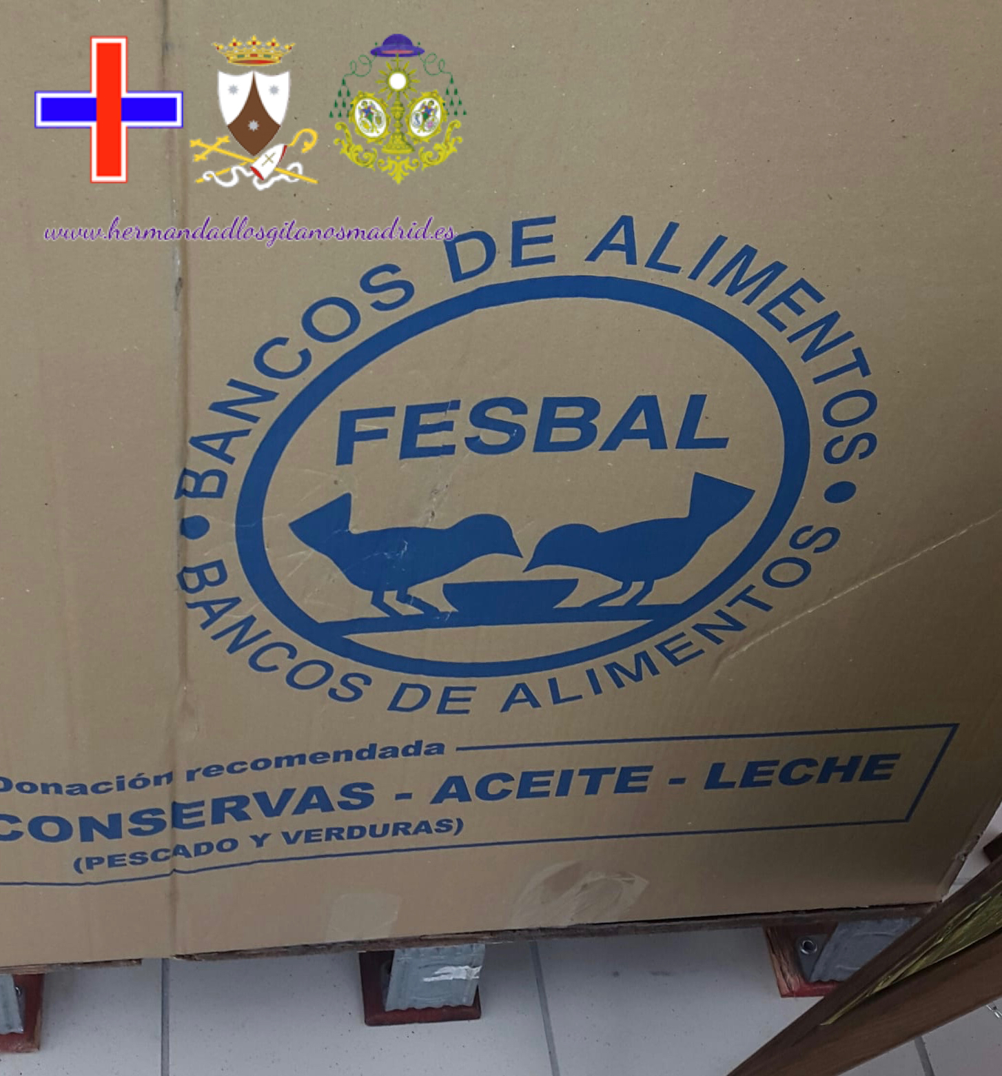 recogida de alimentos  (7)