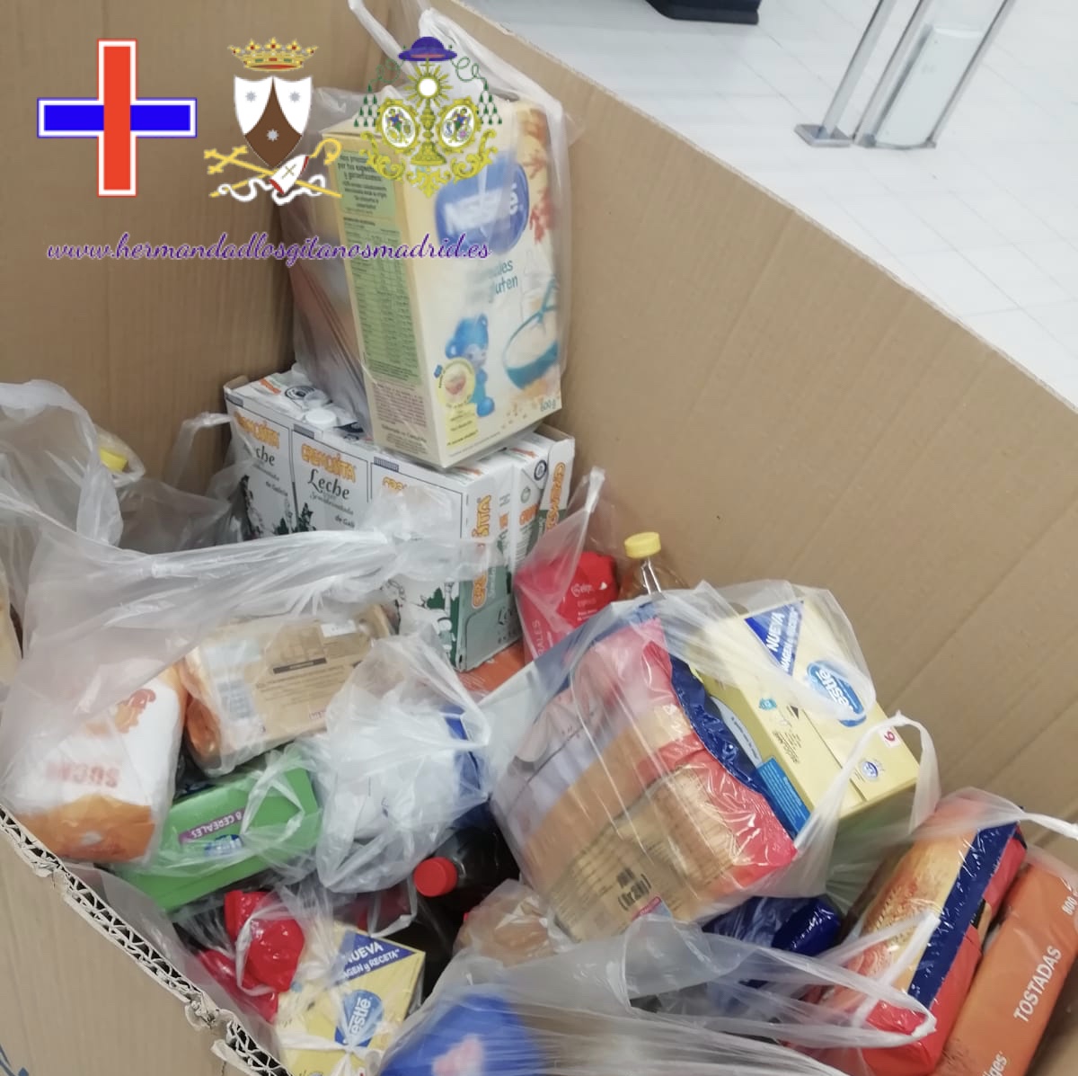 recogida de alimentos  (8)
