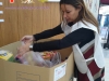 recogida de alimentos  (11)