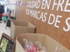 recogida de alimentos  (15)